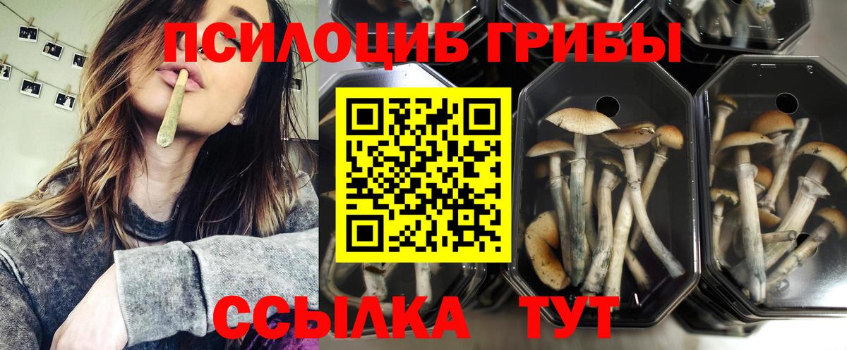 Галлюциногенные грибы MAGIC MUSHROOMS Салехард