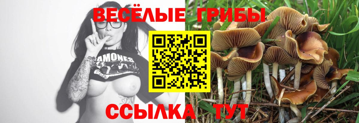 Галлюциногенные грибы Magic Shrooms  Вход с VPN  Салехард 
